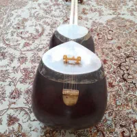 تار انیس مصلی نژاد