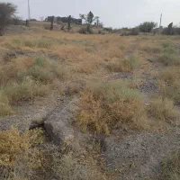 یک-زمین-در-روستای-برنطین-به-فروش-میرسد