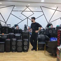 حسابدارمسلط به هلو