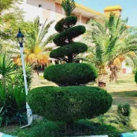 انجام امورات باغبانی هرس،سمپاشی،کاشت درخت،گل،چمن