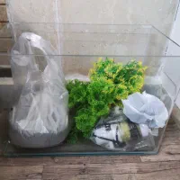 اکواریوم ماهی