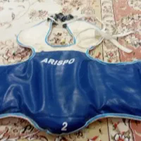 هوگو تکواندو