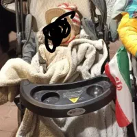 کالسکه دلیجان