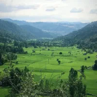 فروش ویلا در. سنگده