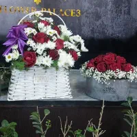 هر شاخه رز هلندی سر درشت وتازه 50تومن