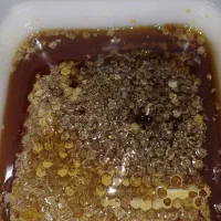 عسل سیاه سبلان اردبیل مستقیم|خوردنی و آشامیدنی|تهران, هلال احمر|دیوار