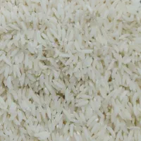 برنج طارم هاشمی اعلاء صد درصد خالص و طبیعی|حراج|قم, شهید صیاد شیرازی|دیوار