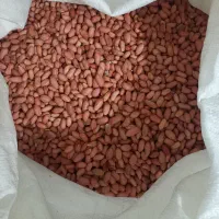 بادام زمینی بذری ازنوع گلی