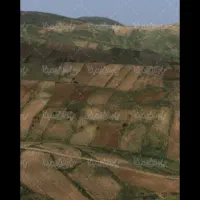 فروش زمین کشاورزی