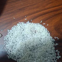 محصولات ارگانیک گیلان|عمده‌فروشی|لشت نشا, |دیوار