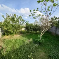 فروش زمین مسکونی در بابل بندپی غربی|فروش زمین و ملک کلنگی|خوشرودپی, |دیوار