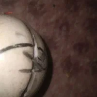 سنگ الماس برش خورده|جواهرات|شیراز, عفیف‌آباد|دیوار