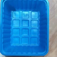 ظرف قارچ 200g