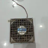 فن ماینر