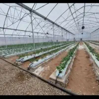 ساخت گلخانه|خدمات پیشه و مهارت|ارومیه, |دیوار