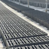 بلوک ساختمانی پارس