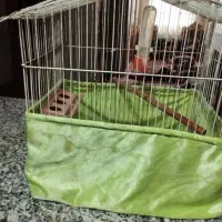 انواع قفس|لوازم جانبی حیوانات|قدس, شهر‌قدس|دیوار