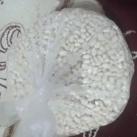 فروش چند نوع لوبیا