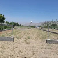 زمین سند دار سهیلیه چهارباغ