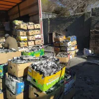 ذغال پسته سفید