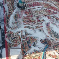 قالیشویی وپتوشویی|خدمات نظافت|کیار, |دیوار