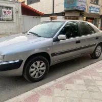 زانتیا بدون رنگ خونگی