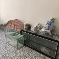 اکواریوم|لوازم جانبی حیوانات|خرمآباد, |دیوار