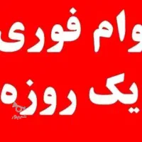 واریز وام یک روزه ، وام شما را خریدارم|خدمات مالی، حسابداری، بیمه|ایذه, |دیوار