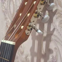 گیتار فروشی پارسی مدل M3|گیتار، بیس، امپلیفایر|قزوین, |دیوار