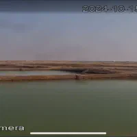 زمین 200 هکتاری پرورش میگو