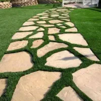 راهنمایی کنید