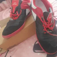 کفش فوتبال سالنی