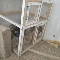 یک قفس چوبی و۲عدد اردک|پرنده|قرچک, مهدیه|دیوار