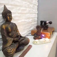 ماساژ الیژن (کلینیک ونک)