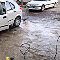 همکاری در کارواش