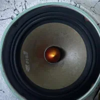 یه جفت میدرنج  8 ایکس پلیر