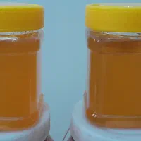 عسل درمانی طبیعی اصل و شیره انگور