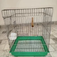 قفس پرنده، طوطی