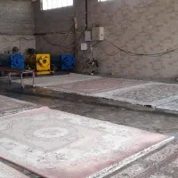 نیروی کار در قالیشویی