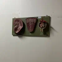 مشاور کنکور تجربی