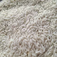 برنج هاشمی درجه یک گیلان