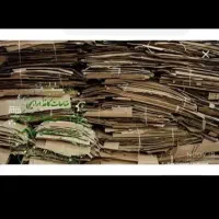 کارتون کتاب باطله