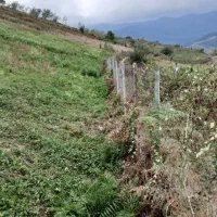 زمین، روستای پاجی|فروش زمین و ملک کلنگی|فریم, |دیوار