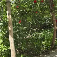 خانه-باغ-سیرچ
