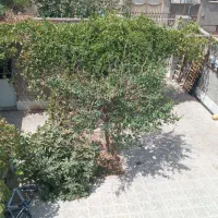 فروش دوطبقه شناژ بتن در امیرکبیر/ سند دار|فروش خانه و ویلا|تربت جام, فاز ۳ فرهنگیان|دیوار