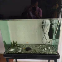 آکواریوم شیشه خم