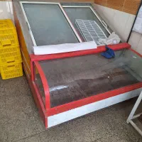 یخچال مرغ فروشی