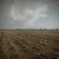 زمین کشاورزی|فروش زمین و ملک کلنگی|زرندیه, |دیوار