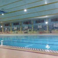 استخدام نیروی کار در استخر