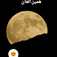 p900|دوربین عکاسی و فیلم‌برداری|اصفهان, خلجا|دیوار